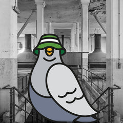 Le T-Shirt URBEX